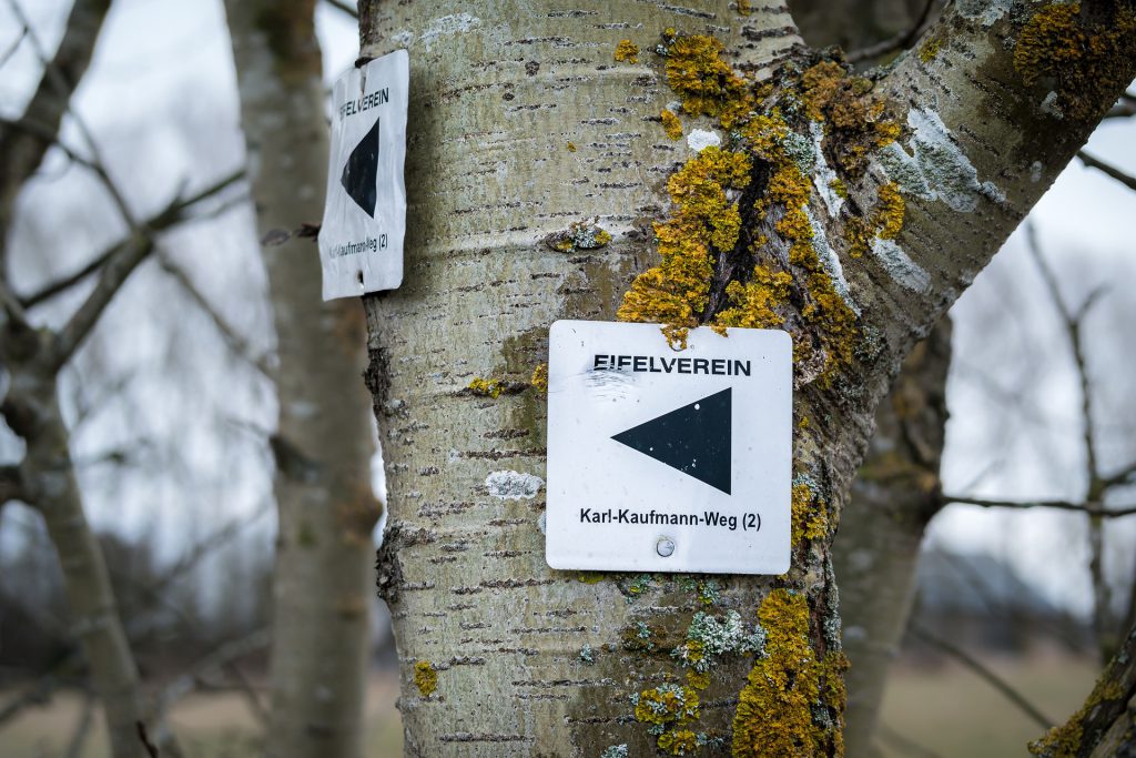 Wanderweg mit Wegweiser des Eifelvereins