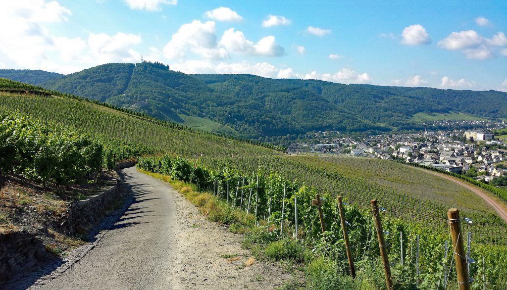 Wandern in den Weinbergen rund um Bernkastel-Kues