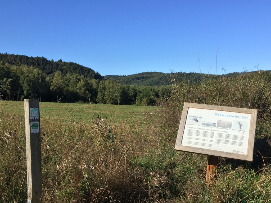 Eifelsteig Wegzeichen auf Dreiborner Hochflaeche